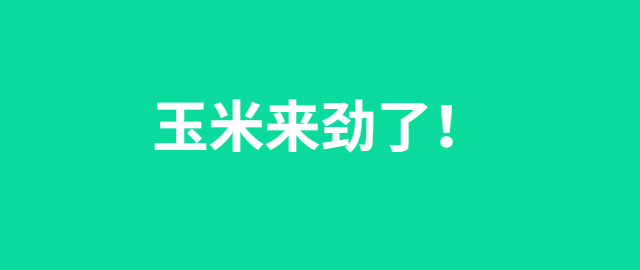 【独家】玉米来劲了！